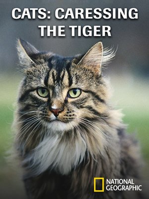 cover image of Cats: Caressing the Tiger